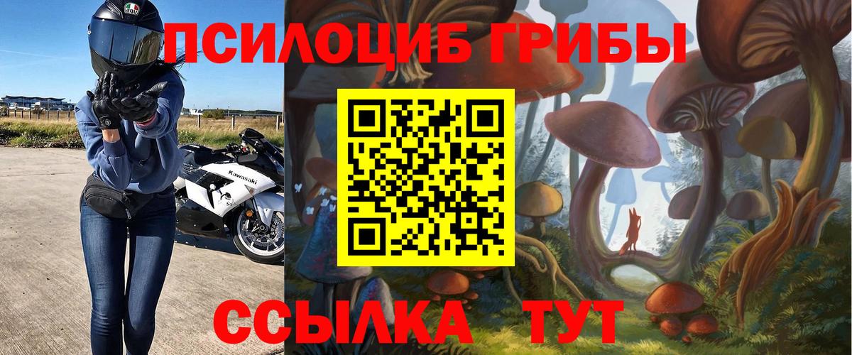 Псилоцибиновые грибы GOLDEN TEACHER  Вход с VPN  Десногорск  купить наркоту  Галлюциногенные грибы Psilocybine cubensis 
